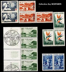 Obliterations 156- Collection Montaner